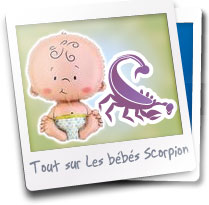 Mieux Comprendre Votre Bebe Scorpion 100 Gratuit