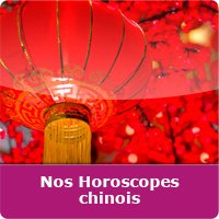 chinois horoscope horoscopes cochon