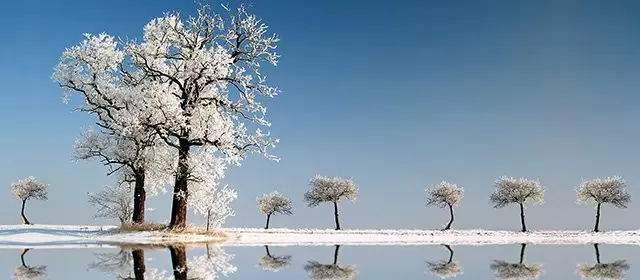 Horoscope de Février 2026