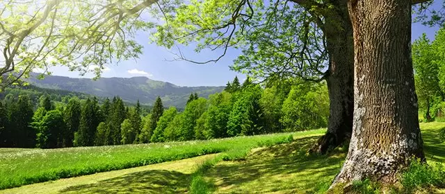 Horoscope d'Avril 2026