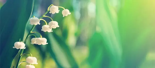 Horoscope de Mai 2026