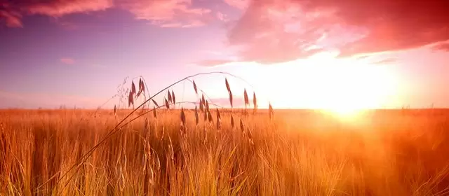 Horoscope d'Août 2026