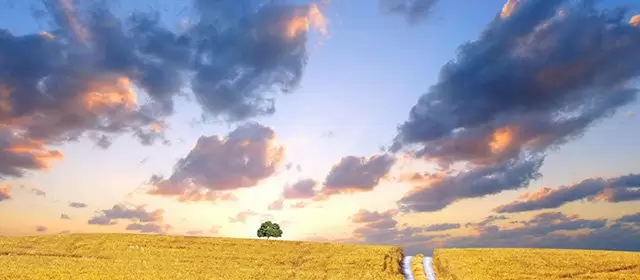 Horoscope de Novembre 2026