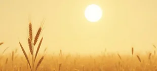 Pleine lune des Récoltes du 7 septembre 2025